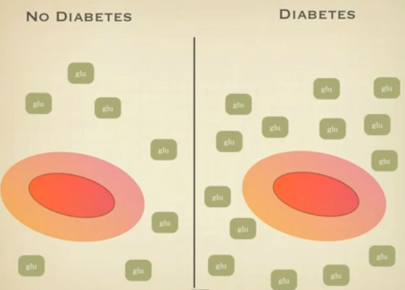 Hba1c Results Chart